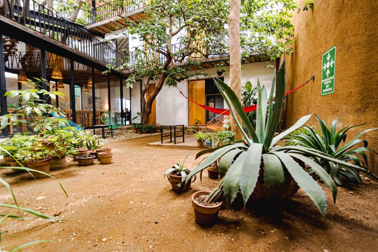 Hotel Con Corazon Oaxaca מראה חיצוני תמונה