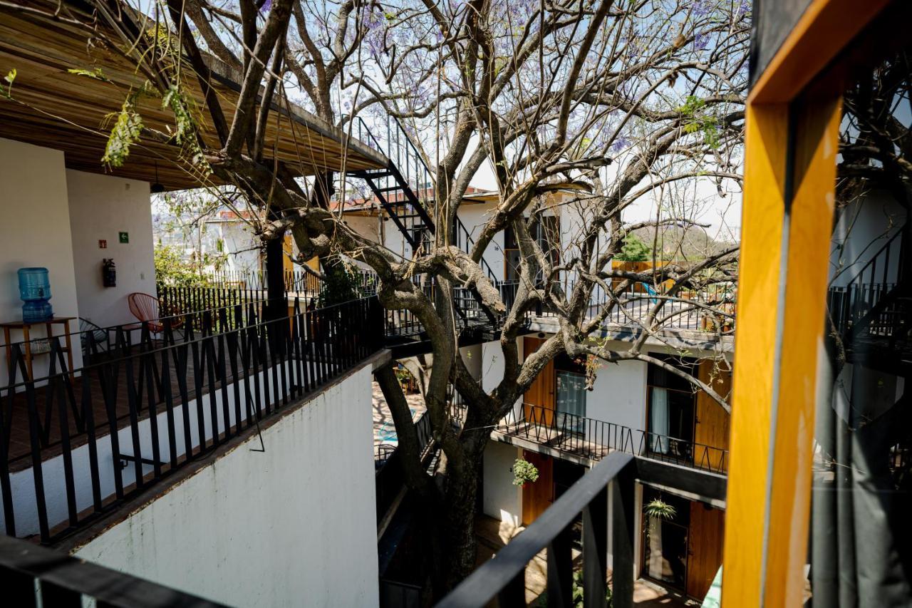Hotel Con Corazon Oaxaca מראה חיצוני תמונה