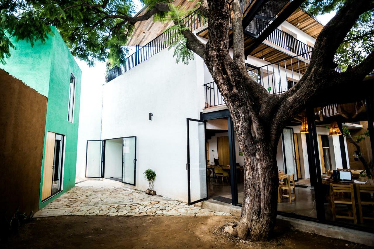 Hotel Con Corazon Oaxaca מראה חיצוני תמונה